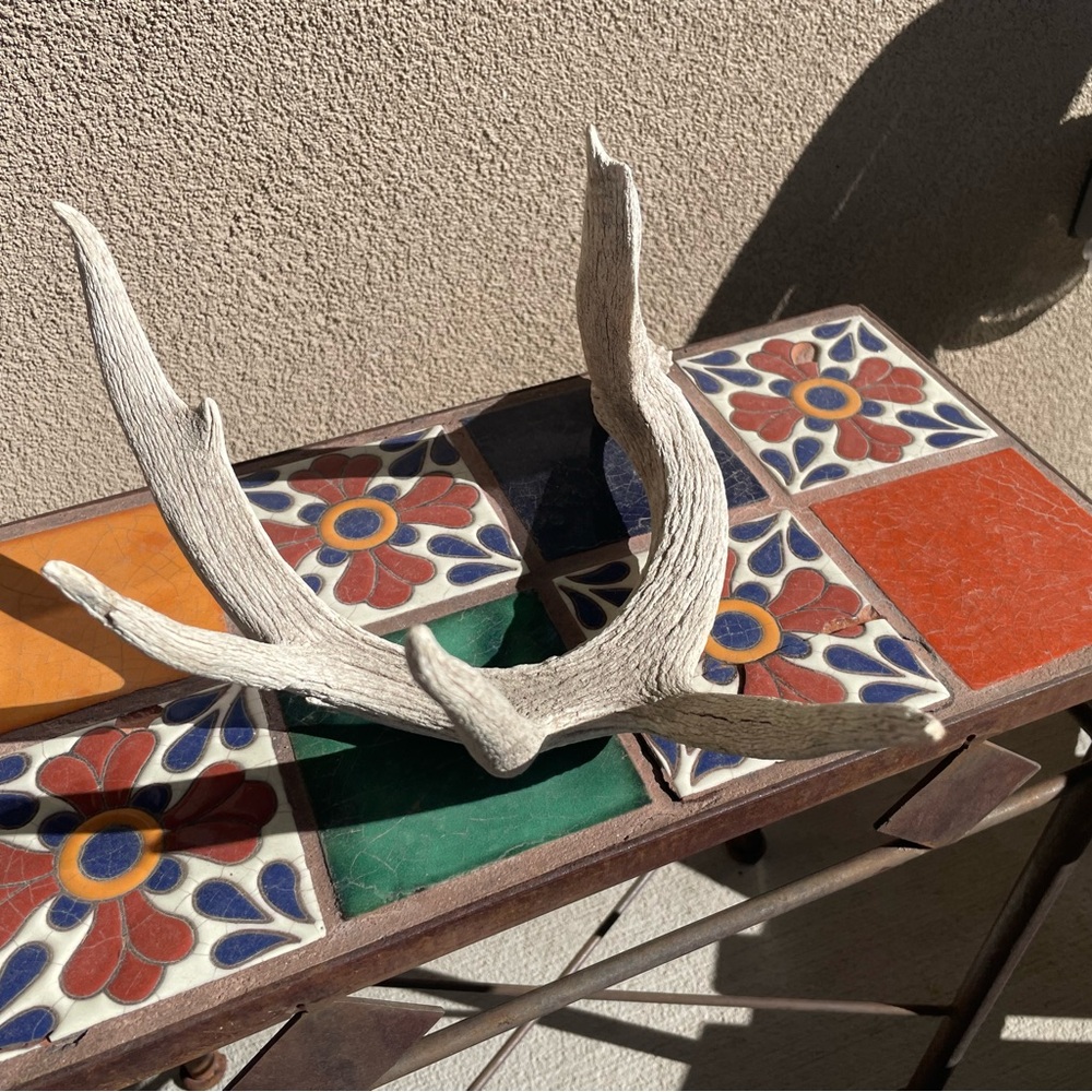 Deer shed